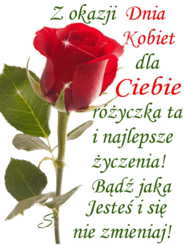 Z okazji dnia kobiet dla Ciebie różyczka ta i najlepsze życzenia